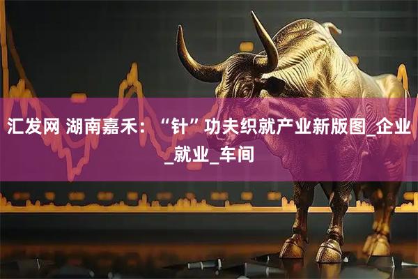 汇发网 湖南嘉禾：“针”功夫织就产业新版图_企业_就业_车间