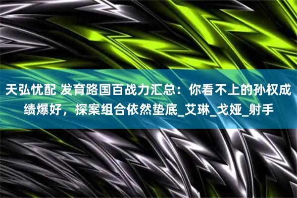 天弘忧配 发育路国百战力汇总：你看不上的孙权成绩爆好，探案组合依然垫底_艾琳_戈娅_射手