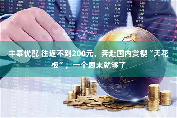 丰泰优配 往返不到200元，奔赴国内赏樱“天花板”，一个周末就够了